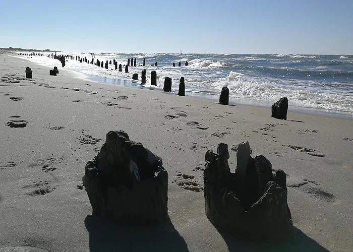 Inspektorenhaus Am Jagdschloss Mit Meerblick